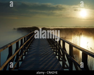 Sunrise al Lago Federsee, Bad Buchau, Baden-Wuerttemberg, Germania, Europa Foto Stock