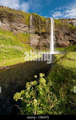 Seljalandsfoss cascata, a sud dell'Islanda, Islanda, Europa Foto Stock