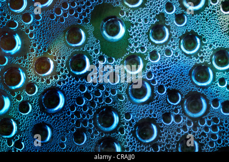 L'acqua condensata, gocce d'acqua su una lastra di vetro Foto Stock