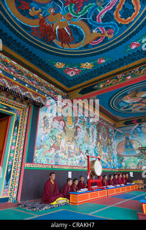 I monaci in preghiera, Tawang Khinmey monastero Nyingma, nei pressi di Tawang, Arunachal Pradesh, India, Asia Foto Stock