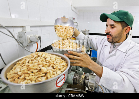 Lavoratore fresco di riempimento (Argan Argania spinosa) mandorle in una pressa per estrarre il prezioso olio di argan, frantoio in Sidiyassine, Foto Stock