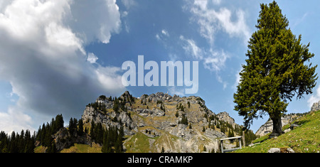 Monte Wendelstein nella montagna Mangfall, Prealpi bavaresi, Bayrischzell, Baviera, Germania, Europa Foto Stock