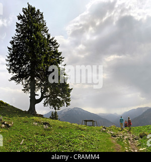 Gli escursionisti sul Monte Wendelstein nella montagna Mangfall, Prealpi bavaresi, Bayrischzell, Baviera, Germania, Europa Foto Stock