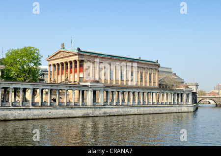 Vista sul Fiume Sprea verso la vecchia galleria nazionale sull'Isola dei Musei, patrimonio dell'Unesco, Berlino Foto Stock