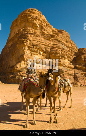I beduini con i cammelli nel deserto, Wadi Rum, Giordania, Medio Oriente Foto Stock