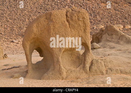 La formazione di roccia Tadrart nel deserto vicino a Tasset, Algeria, Africa Foto Stock