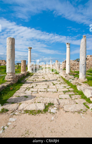 Sito archeologico romano dei salami, parte turca di Cipro Foto Stock