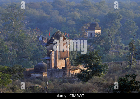 Le rovine di un palazzo a Orchha, Madhya Pradesh, India del nord, India, Asia Foto Stock