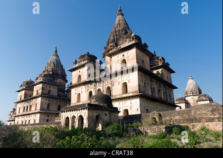 Chhatris grave monumenti o cenotaphs, Orchha, Madhya Pradesh, India del Nord, India, Asia Foto Stock