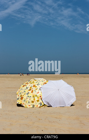 Aprire ombrelloni sulla spiaggia di Zeebrugge, Fiandre Occidentali, Regione fiamminga, Belgio, Europa Foto Stock