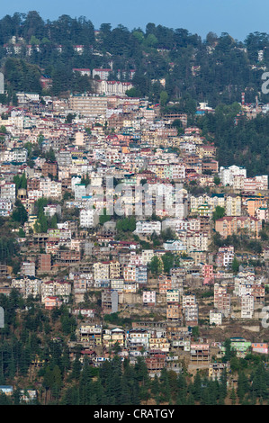 Shimla, capitale di Himachal Pradesh, India del Nord, India, Asia Foto Stock