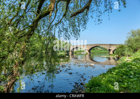 Ribchester ponte sopra il fiume Ribble. Foto Stock