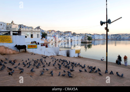 Pushkar sulla santa di Pushkar o lago Pushkar Sarovar, Rajasthan, India, Asia Foto Stock