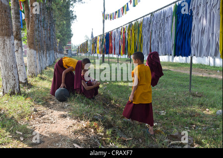 Giovani monaci giocando, profughi tibetani insediamento a Bylakuppe, Distretto di Mysore, Karnataka, India meridionale, India, Asia Foto Stock