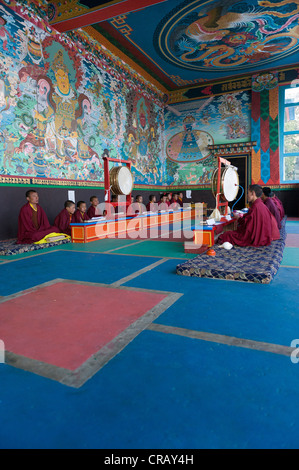 I monaci in preghiera, Tawang Khinmey Nyingma monastero vicino Tawang, Arunachal Pradesh, India, Asia Foto Stock