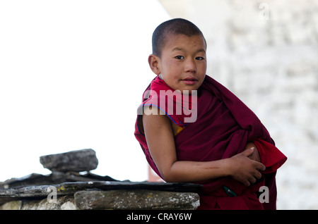 Giovane monaco in Galden Namgyal Lhatse monastero, il più grande monastero buddista in India, Tawang, Arunachal Pradesh, India, Himalaya Foto Stock