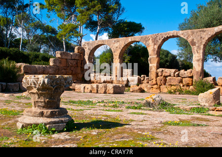 Le rovine Romane di Tipasa, Sito Patrimonio Mondiale dell'Unesco, Algeria, Africa Foto Stock