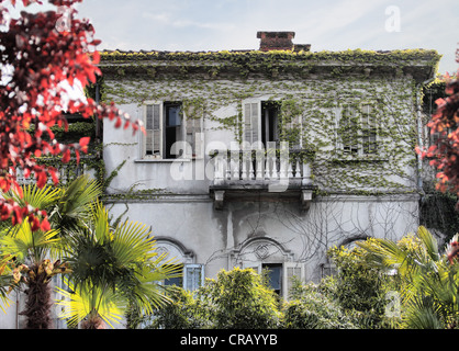 Vittoriano abbandonato ricoperto da viti House di Stresa, Italia Foto Stock