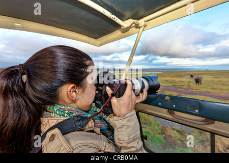 Giovane fotografo a scattare foto di un bufalo da un safari bus, Lake Nakuru National Park, Kenya, Africa Orientale, PublicGround Foto Stock