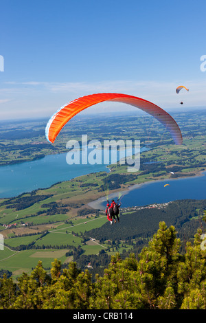 Parapendio in tandem che si affaccia sul lago Froggensee, Tegelberg Mountain, Alta Baviera, Baviera, Germania, Europa PublicGround Foto Stock