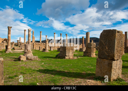 Le rovine romane di Djemila, Sito Patrimonio Mondiale dell'Unesco, Kabylie, Algeria, Africa Foto Stock