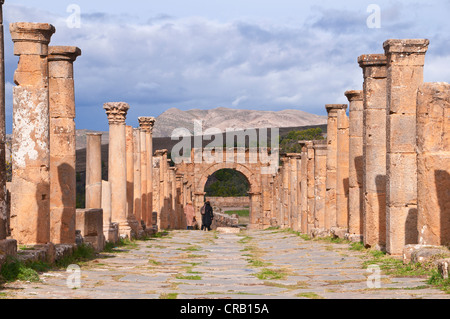 Le rovine romane di Djemila, Sito Patrimonio Mondiale dell'Unesco, Kabylie, Algeria, Africa Foto Stock