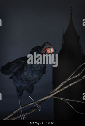 Immagine 3d di raven holding bulbo oculare con il big ben in background Foto Stock