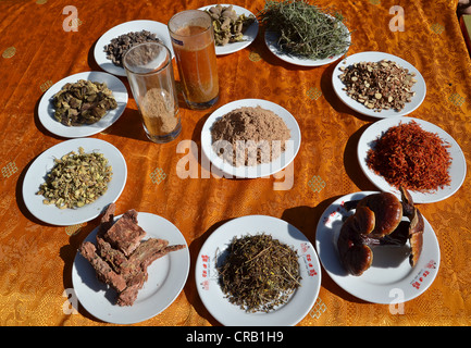 Ingredienti per Guarigione tibetana tisane, funghi, erbe, fiori, spezie, erbe medicinali, Tibet, Cina e Asia Foto Stock