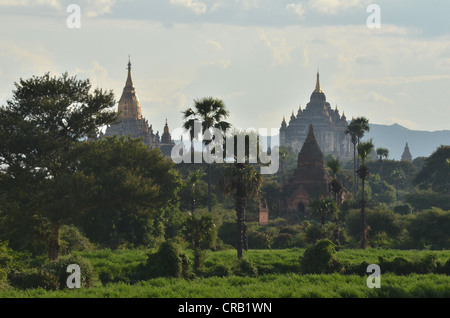 Aumento di fumo, la nebbia e la luce della sera tra i campi, templi e pagode, Ananada Temple e Thatbyinnyu tempio di Bagan Foto Stock