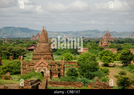 Campo pagoda, pagode buddiste, Old Bagan, pagano, birmania, myanmar, Asia sud-orientale, Asia Foto Stock