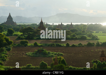 Aumento di fumo, la nebbia e la luce della sera tra i campi, templi e pagode di Bagan, MYANMAR Birmania, sud-est asiatico Foto Stock