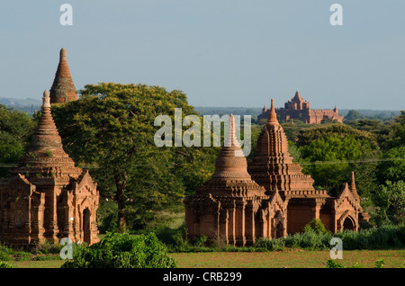 Campo pagoda, pagode buddiste, Old Bagan, pagano, birmania, myanmar, Asia sud-orientale, Asia Foto Stock