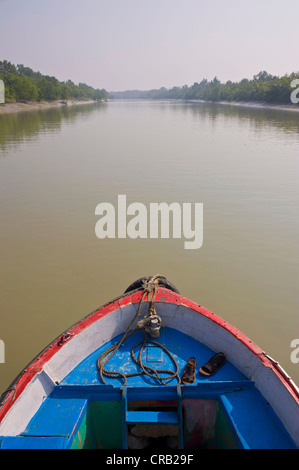 Piccola barca a remi nelle paludi del sito Patrimonio Mondiale dell'Unesco Sundarbans, Bangladesh Asia Foto Stock