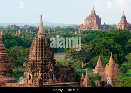 Campo pagoda, templi, Zedi, Old Bagan, pagano, birmania, myanmar, Asia sud-orientale, Asia Foto Stock