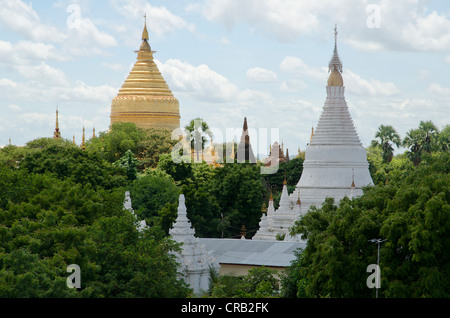 Campo pagoda, tempio, Zedi, Old Bagan, pagano, Nyaung U, Shwezigon Pagoda, birmania, myanmar, Asia sud-orientale, Asia Foto Stock