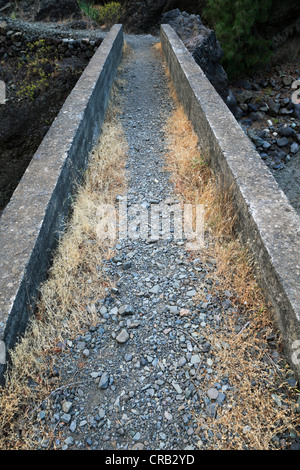 Ponte su un sentiero escursionistico, Valle di paura, Barranco de las Angustias, La Palma, La Isla Verde, La Isla Bonita, Isole Canarie Foto Stock