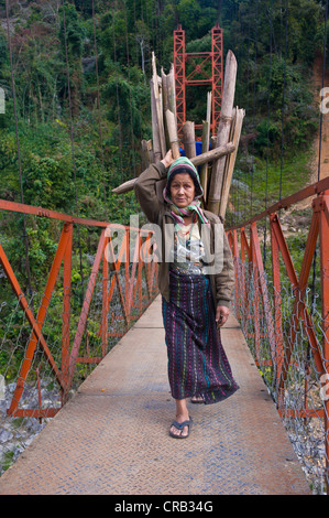 La donna da Adi Gallong gruppo etnico in legno portante sulla sua schiena, lungo, Arunachal Pradesh, a nord est dell India, India, Asia Foto Stock