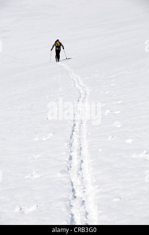 Guida di montagna crescente tour con gli sci, ski tour route nella valle dei Tauri, sulla strada per il rifugio Hagener vicino a Mallnitz Foto Stock