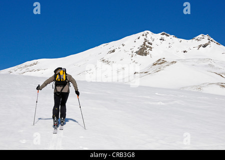 Guida di montagna crescente tour con gli sci, ski tour route nella valle dei Tauri, sulla strada per il rifugio Hagener vicino a Mallnitz Foto Stock