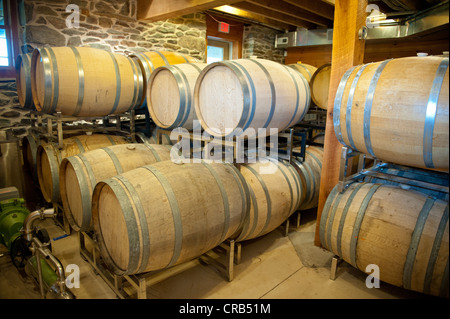 Impilate i barili di legno contenenti vino in cantina Foto Stock