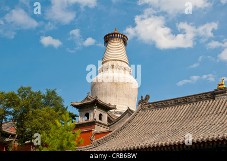 Wutai Shan sito monastico, monte Wutai, Sito Patrimonio Mondiale dell'Unesco, Shanxi, Cina e Asia Foto Stock