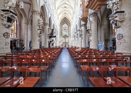 Vista interna, Cattedrale de San Michel, San Michele e Santa Gudula Cathedral, luogo Sainte-Gudule, Bruxelles, Belgio, Benelux Foto Stock