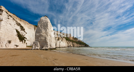 Pizzomunno Rock, costa vicino a Vieste, provincia di Foggia, Puglia Puglia, Gargano, Mare Adriatico, Italia, Europa Foto Stock