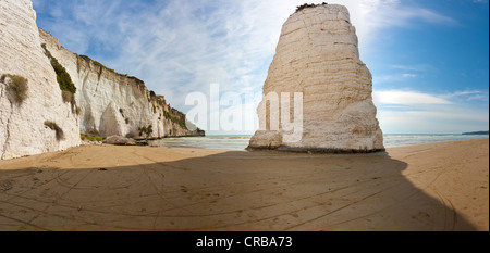 Pizzomunno Rock, costa vicino a Vieste, provincia di Foggia, Puglia Puglia, Gargano, Mare Adriatico, Italia, Europa Foto Stock