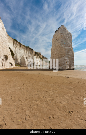 Pizzomunno Rock, costa vicino a Vieste, provincia di Foggia, Puglia Puglia, Gargano, Mare Adriatico, Italia, Europa Foto Stock