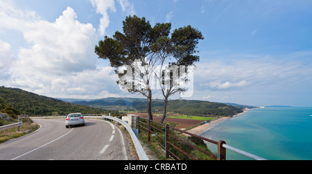 Auto guidando su una strada costiera vicino a Peschici, provincia di Foggia, Puglia Puglia, Gargano, Mare Adriatico, Italia, Europa Foto Stock