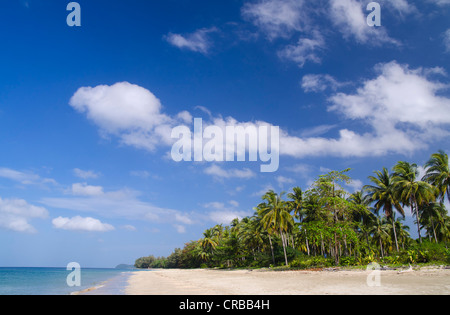 Palm Beach Andaman Beach, Ko Jum o Koh Pu isola, Krabi, Thailandia, Sud-est asiatico Foto Stock