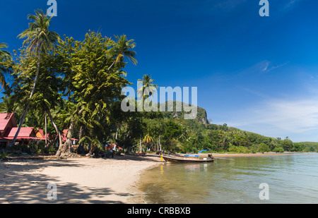 Longtail boat su un palm-rigato beach, isola di Ko Muk o Ko Mook, Trang, Thailandia, Sud-est asiatico, in Asia Foto Stock