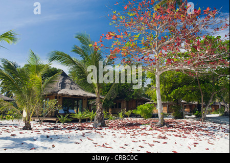 Bungalow sulla spiaggia, Koh Mook Sivalai Beach Resort, Ko Muk o Ko Mook isola, Thailandia, Sud-est asiatico Foto Stock