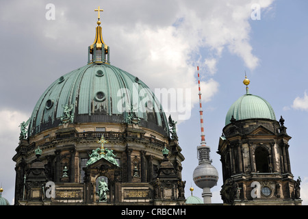 Cupola storica, Berliner Dom, Cattedrale di Berlino, Oberpfarrkirche chiesa o Dom zu Berlin, Fernsehturm torre della televisione Foto Stock